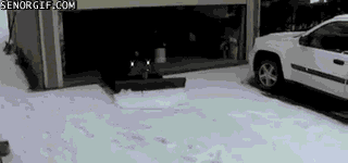 Acid GIFs, June 30 (29 gifs)