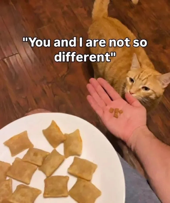 Funny Memes (19 pics)