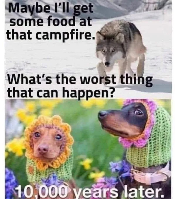 Funny Memes (19 pics)