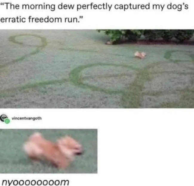 Funny Memes (19 pics)