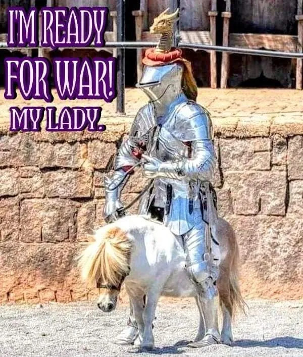 Random Memes (23 pics)