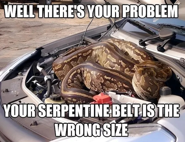 Random Memes (23 pics)
