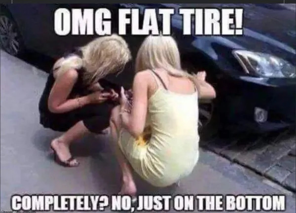 Random Memes (23 pics)
