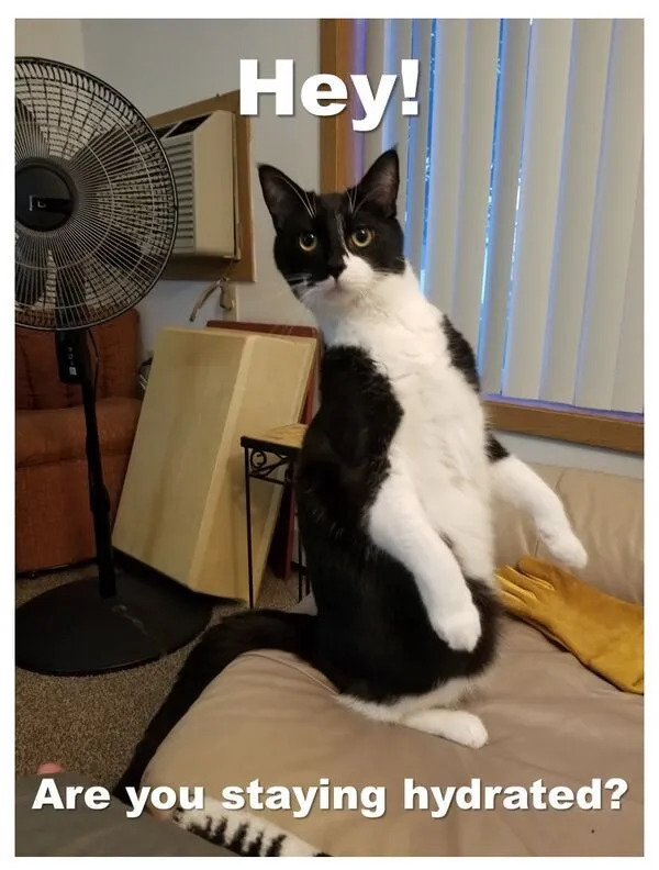Random Memes (23 pics)