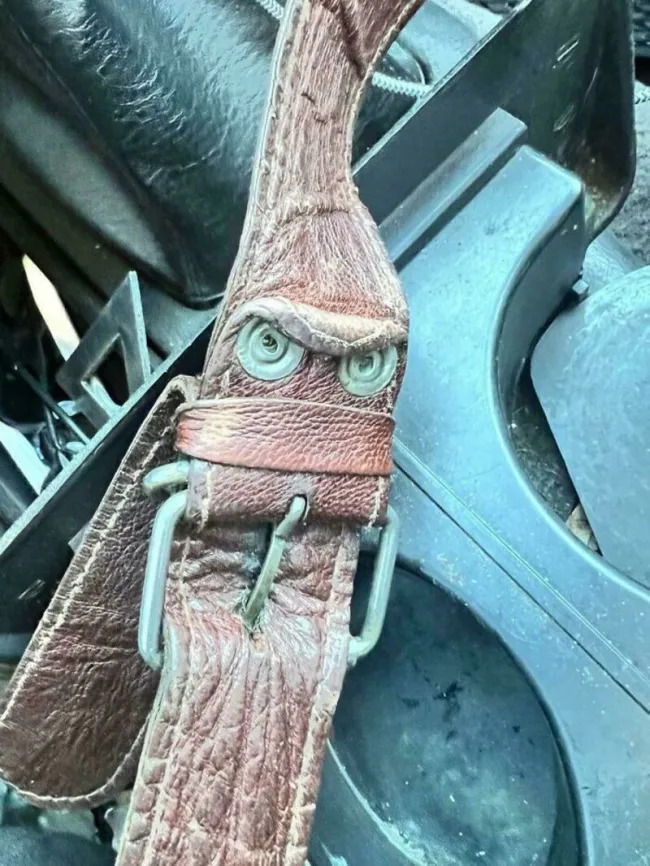 This Is Pareidolia (21 pics)