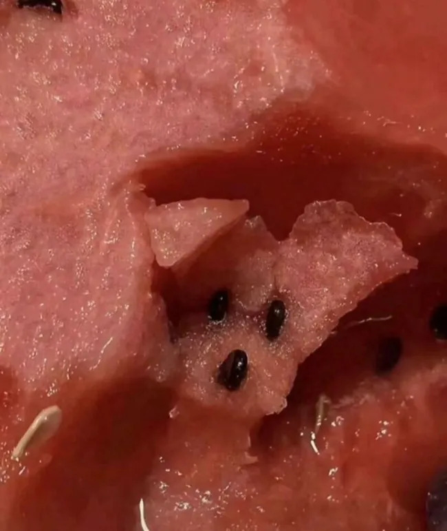 This Is Pareidolia (21 pics)