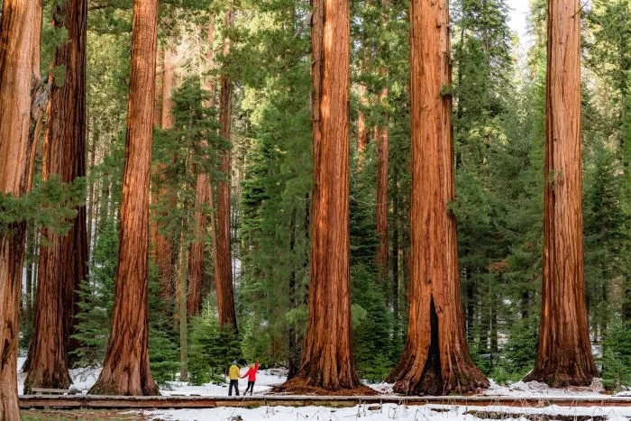 Giant Things (16 pics)