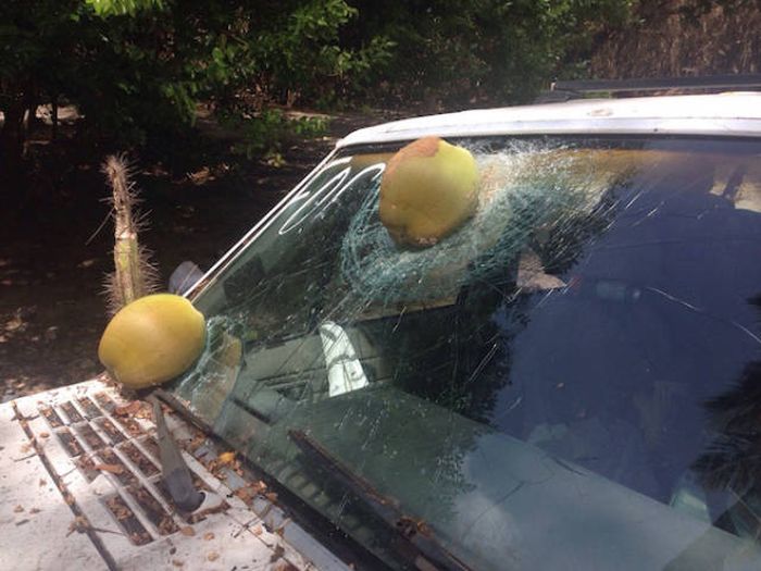 Bad Days Happen (25 pics)