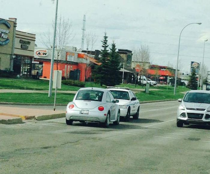 Bad Days Happen (25 pics) Bad Days Happen (25 pics)