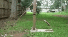 Acid GIFs, July 1 (29 gifs)