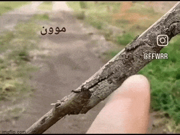 Acid GIFs, July 1 (29 gifs)