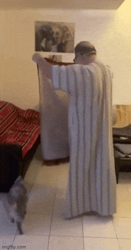 Acid GIFs, July 1 (29 gifs)