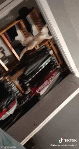 Acid GIFs, July 1 (29 gifs)