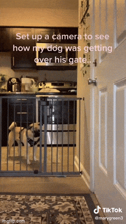Acid GIFs, July 1 (29 gifs)