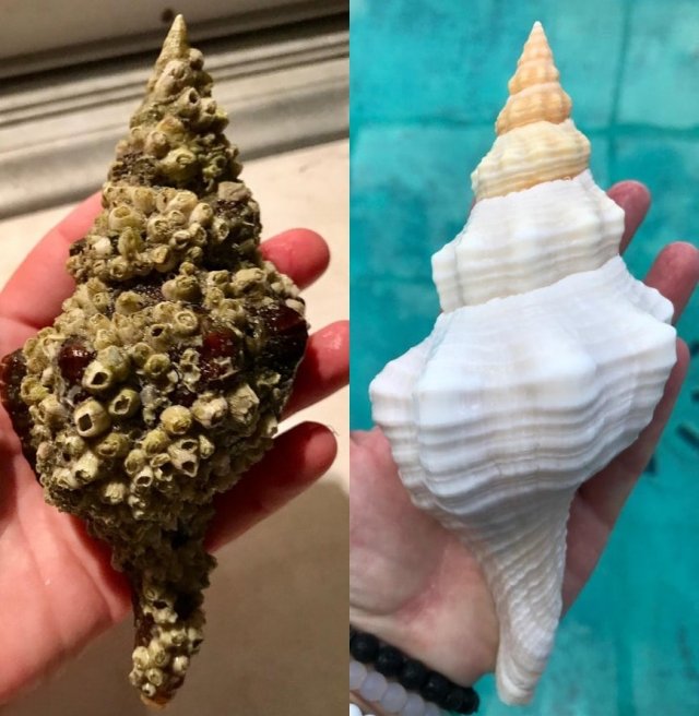 Before And After Cleaning (20 pics)