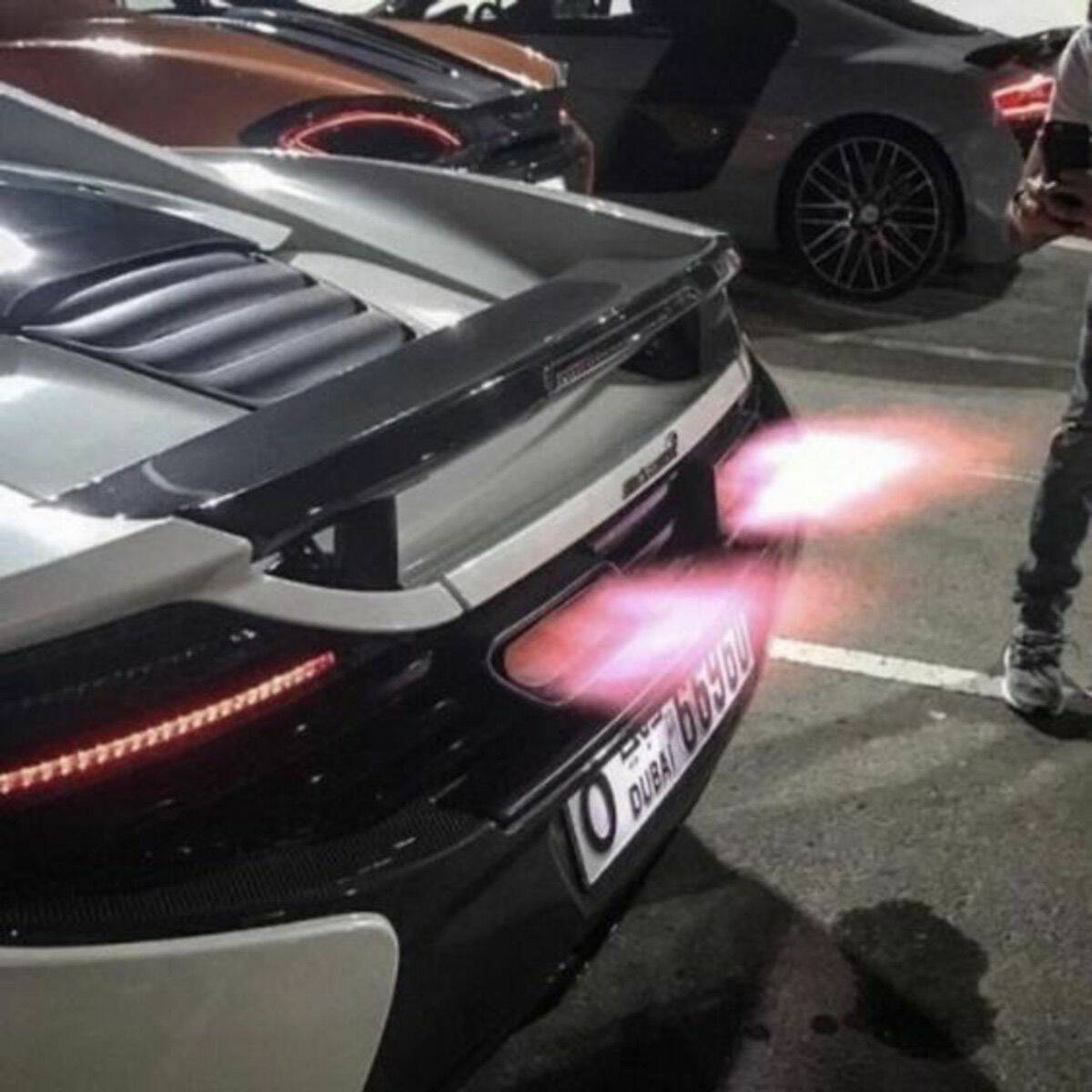 Daily Pictures. Part 2 (73 pics)