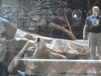Acid GIFs, July 2 (29 gifs)
