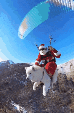 Acid GIFs, July 2 (29 gifs)