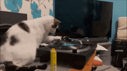 Acid GIFs, July 2 (29 gifs)