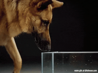 Acid GIFs, July 2 (29 gifs)