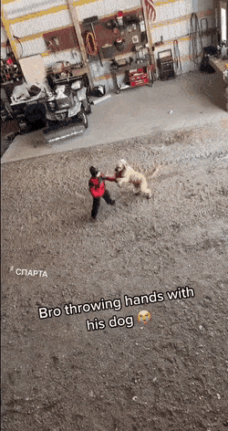 Acid GIFs, July 2 (29 gifs)