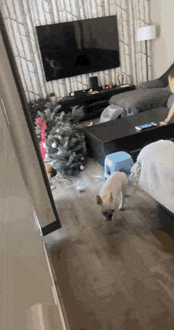 Acid GIFs, July 2 (29 gifs)