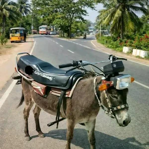 Crazy Tuning (27 pics)