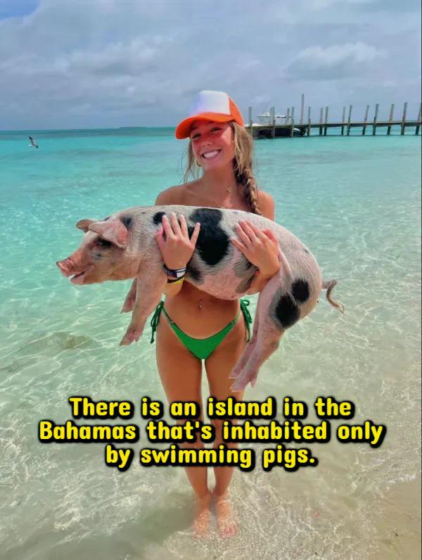 Interesting Facts (18 pics)