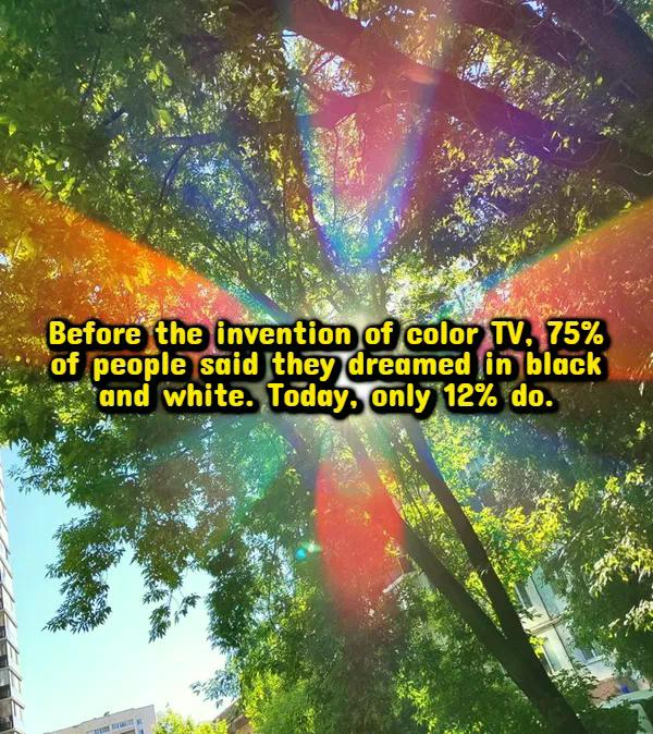 Interesting Facts (18 pics)