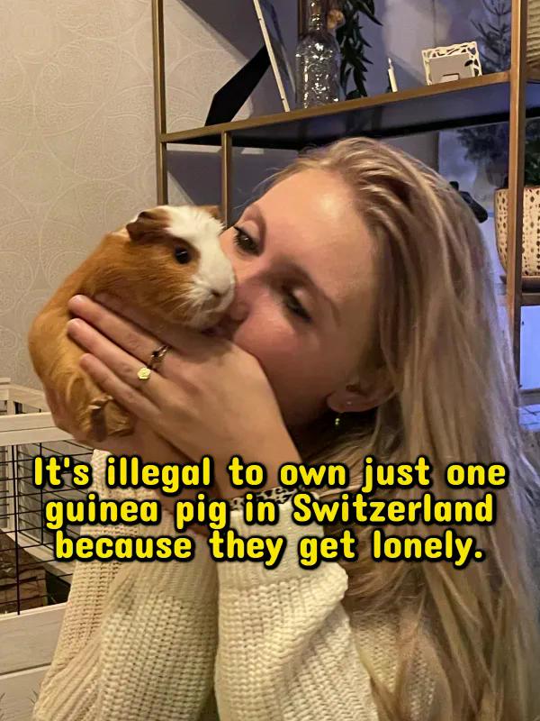 Interesting Facts (18 pics)