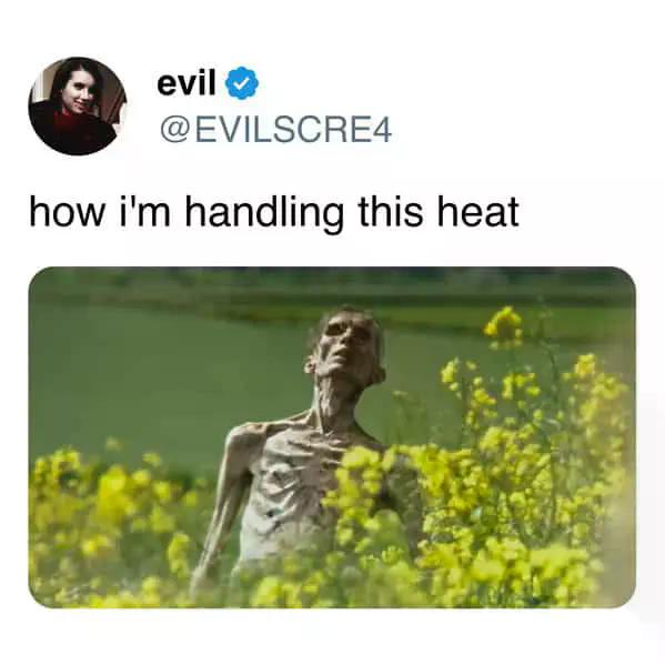Heat Memes (23 pics) Heat Memes (23 pics)