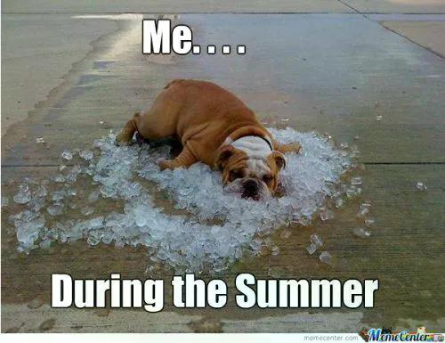 Heat Memes (23 pics) Heat Memes (23 pics)