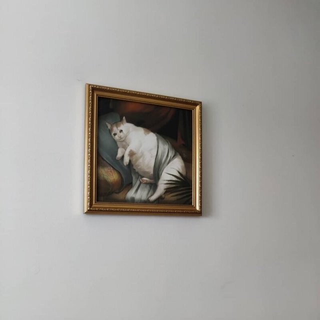 Strange Finds In Thrift Shops (15 pics)
