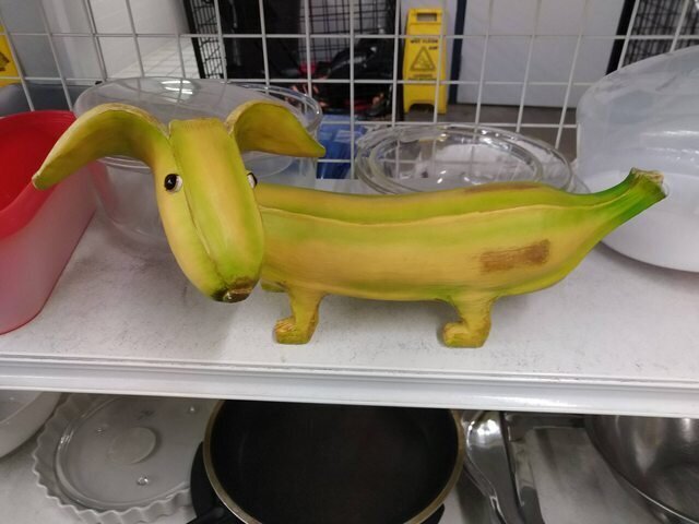 Strange Finds In Thrift Shops (15 pics)