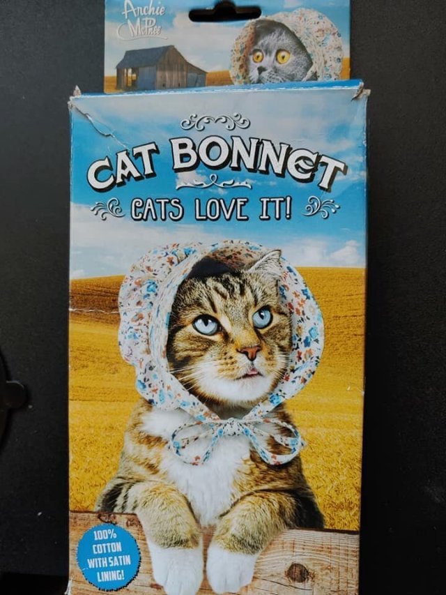 Strange Finds In Thrift Shops (15 pics)