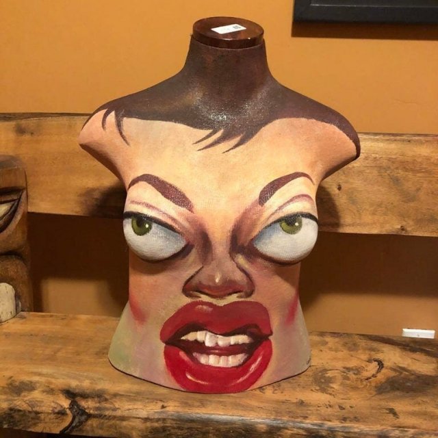 Strange Finds In Thrift Shops (15 pics)