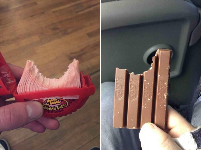 They Don't Care About The Rules (21 pics)