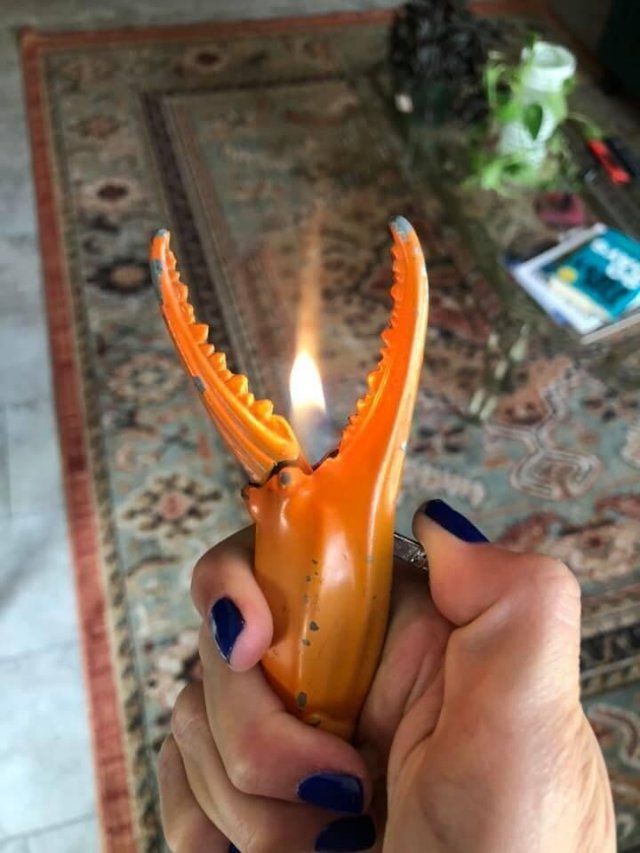 Strange Finds In Thrift Shops (15 pics)