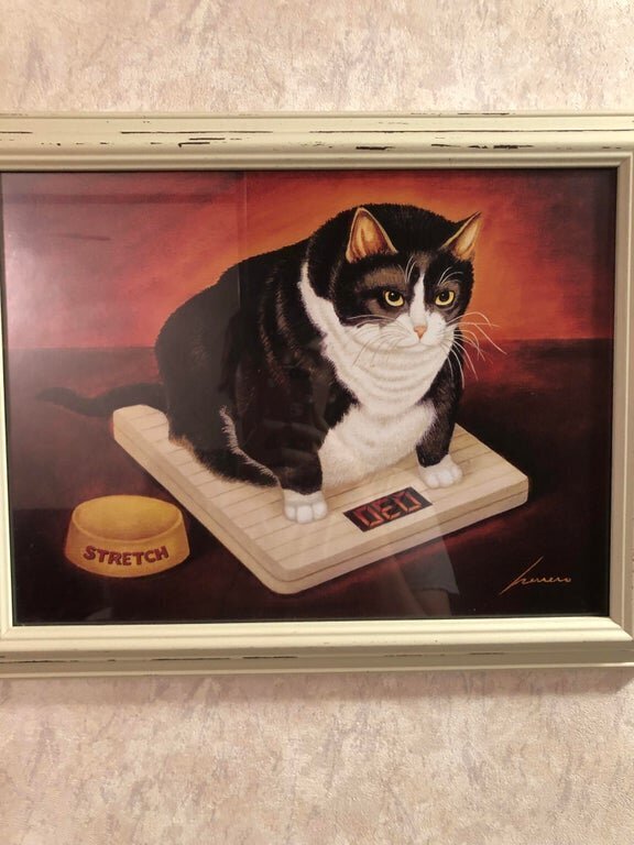 Strange Finds In Thrift Shops (15 pics)