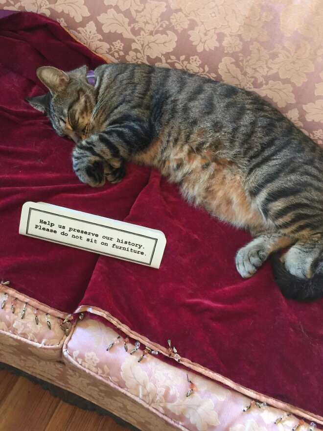 They Don't Care About The Rules (21 pics)