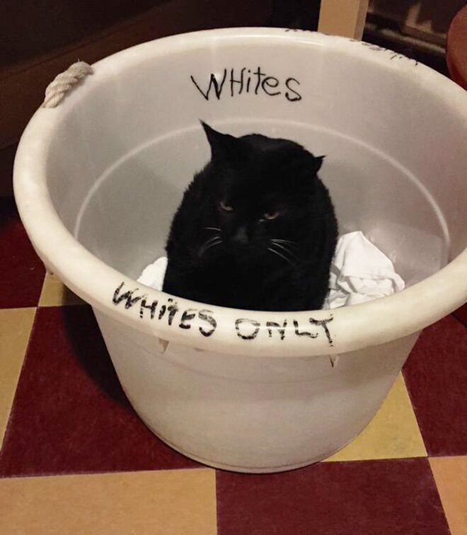 They Don't Care About The Rules (21 pics)