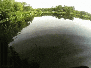 Acid GIFs, July 3 (29 gifs)