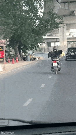 Acid GIFs, July 3 (29 gifs)