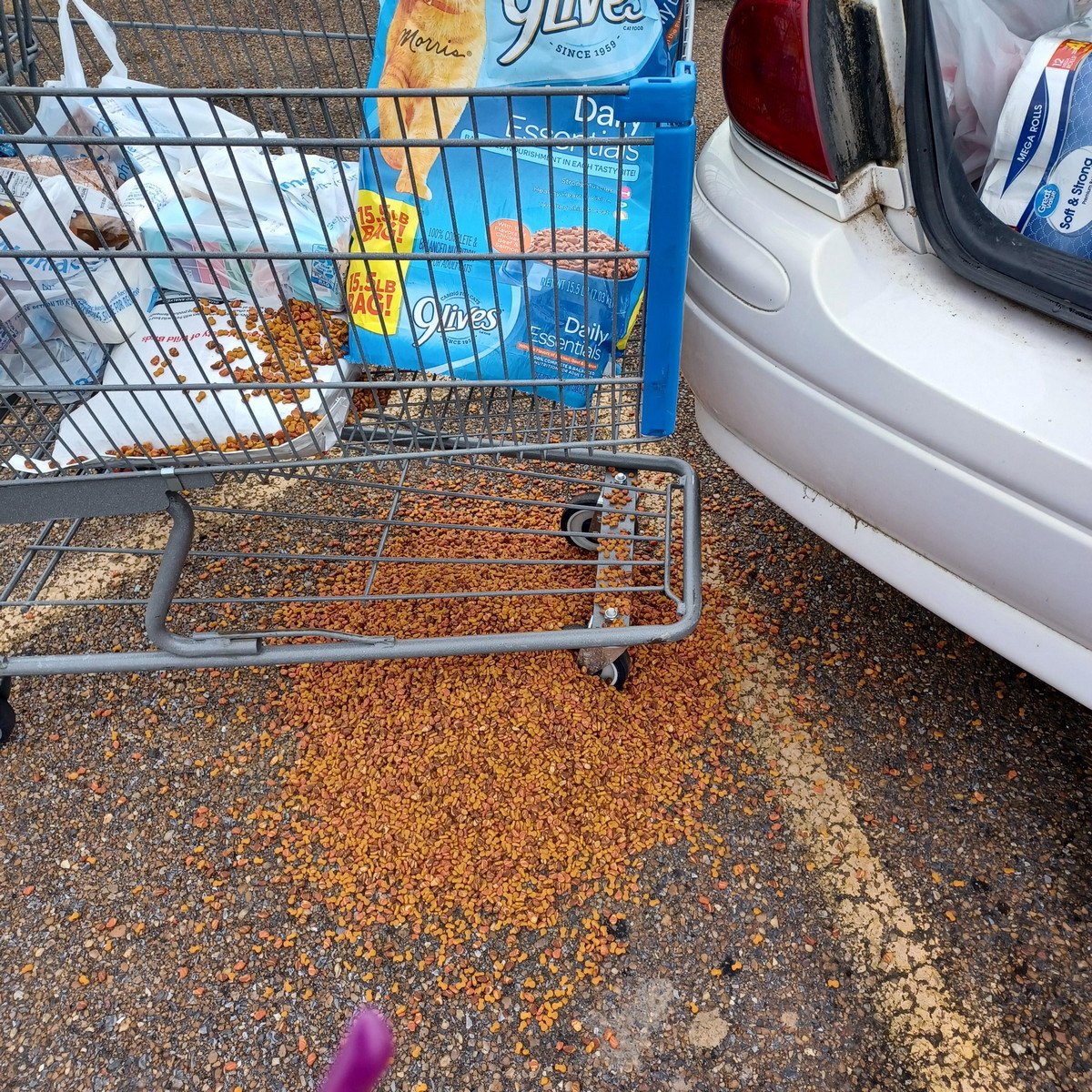 Bad Days Happen (28 pics) Bad Days Happen (28 pics)