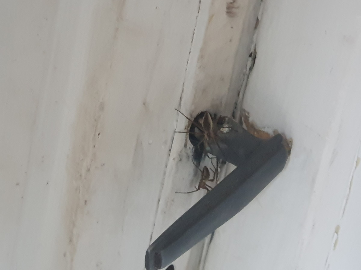 Bad Days Happen (28 pics) Bad Days Happen (28 pics)