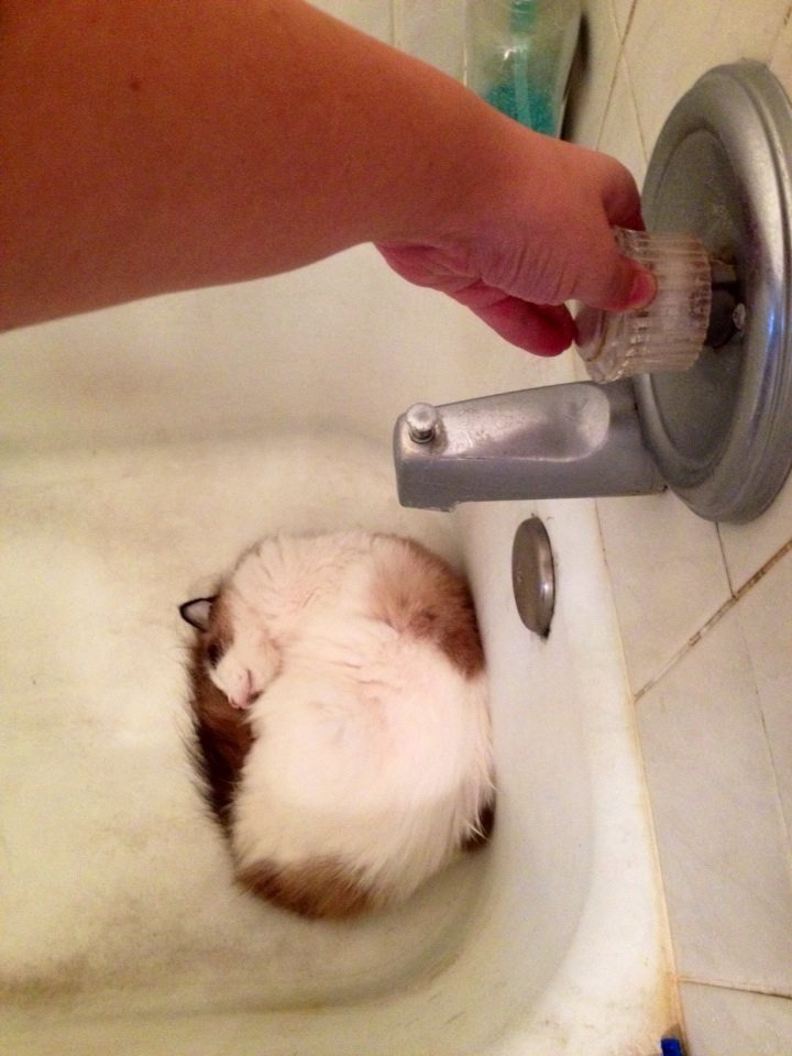 Right Moment (19 pics)