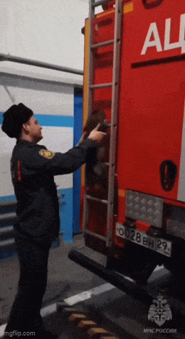 Acid GIFs, July 6 (29 gifs)