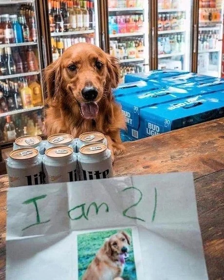 Beer Memes (20 pics) Beer Memes (20 pics)