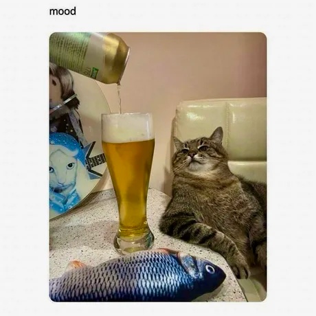 Beer Memes (20 pics) Beer Memes (20 pics)