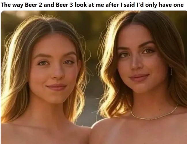 Beer Memes (20 pics)